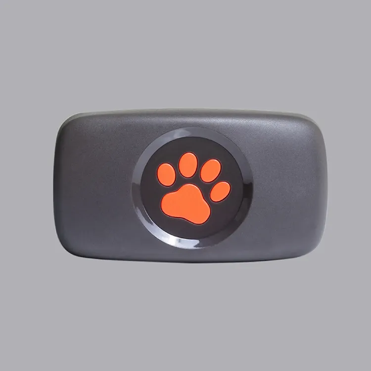 PitPat Dog Activity Monitor